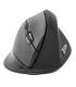 Natec Crake Wireless ratón Vertical