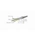 copy of Cable Red 0,25Mts CAT6 Gembird Gris