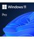 WINDOWS 11 PRO OEM 64 BITS