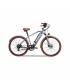 copy of BICICLETA ELECTRICA SMARTGYRO EBIKE CROSSCITY 250W 30KM 25KMH PLATA 22KG 100 KG