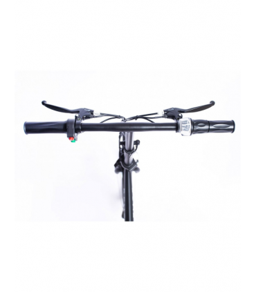 copy of BICICLETA ELECTRICA SMARTGYRO EBIKE CROSSCITY 250W 30KM 25KMH PLATA 22KG 100 KG