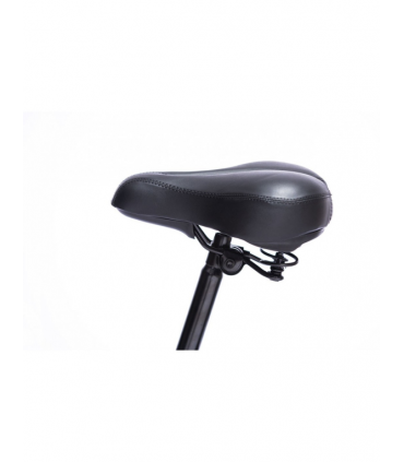 copy of BICICLETA ELECTRICA SMARTGYRO EBIKE CROSSCITY 250W 30KM 25KMH PLATA 22KG 100 KG